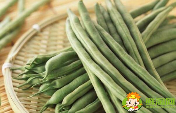 蕓豆是不是四季豆，白蕓豆和白扁豆的區別