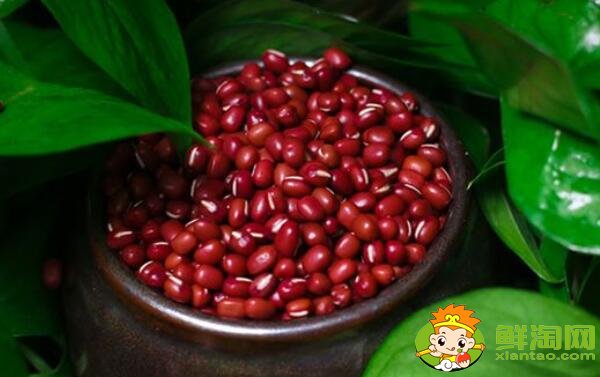 紅蕓豆和紅豆有什么區(qū)別，紅蕓豆與赤小豆有區(qū)別嗎