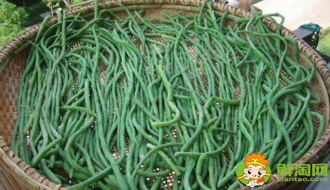 干豆角怎么曬干成綠色，曬干的干豆角可以放冰箱嗎