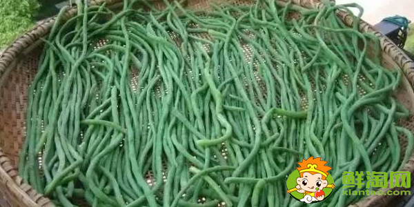 怎樣曬干豆角不發(fā)黃，干豆角怎么曬不變色