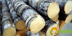 大連甘蔗什么時候成熟，大連哪里有種甘蔗的