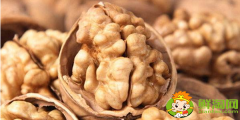 紙皮核桃哪個(gè)牌子好，紙皮核桃是漂白過(guò)的嗎