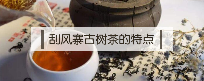 刮風(fēng)寨古樹(shù)茶的特點(diǎn)