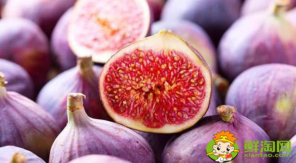 新鮮無花果可以種嗎，新鮮無花果多少錢一斤
