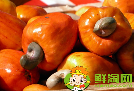越南腰果帶皮好還是不帶皮好，帶皮腰果和炭燒腰果有什么區(qū)別