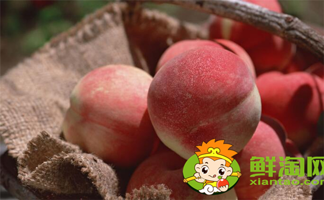 桃子的熱量高嗎，桃子一天吃幾個最好