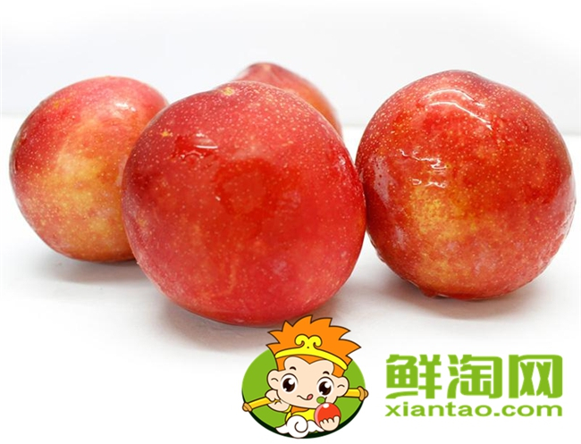 紅布林怎么選，紅布林怎么保存