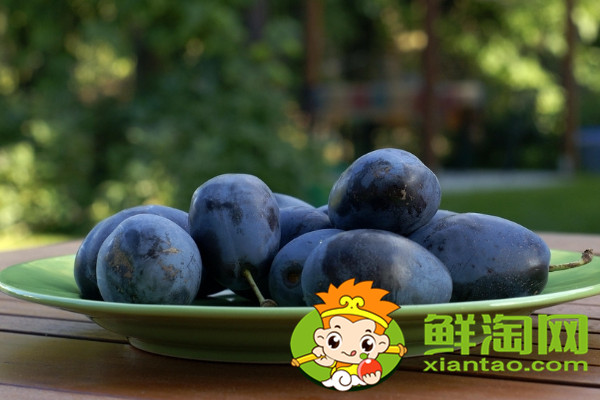 陜西黑布李味道如何，陜西黑布林和四川黑布林的區別