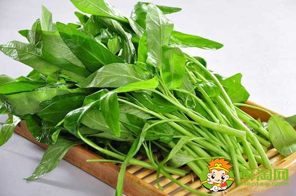 竹葉和柳葉空心菜哪個產(chǎn)量高，小柳葉空心菜是不是青梗的
