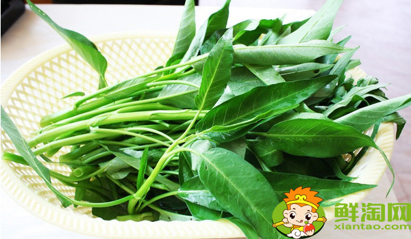 江西大葉空心菜哪里產的，江西空心菜的圖片大全