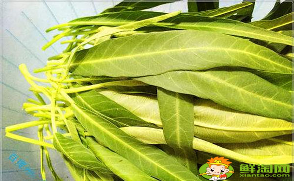 空心菜葉子要不要去掉，空心菜葉子發黃能吃嗎