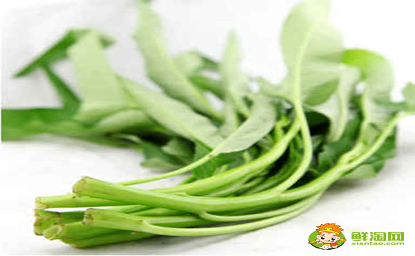 空心菜葉子要不要去掉，空心菜葉子發黃能吃嗎