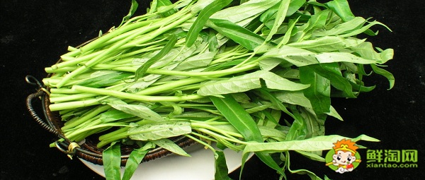 藤菜有哪幾種，藤菜和空心菜有什么區(qū)別