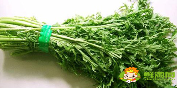 東北雪里紅是什么菜，雪里紅有幾個(gè)品種圖解