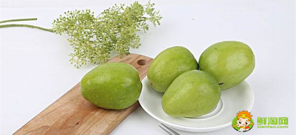 青棗和紅棗是一個(gè)品種嗎，臺(tái)灣大青棗最新品種