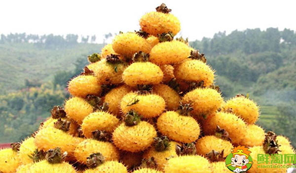 刺梨泡水可以天天喝嗎，刺梨是怎樣長時間保存