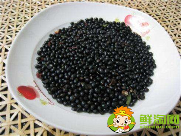 青花椒什么季節(jié)成熟,花椒籽什么時候采最適宜