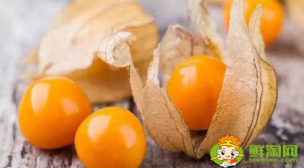 東北人說的姑娘是什么水果，金姑娘果什么味道
