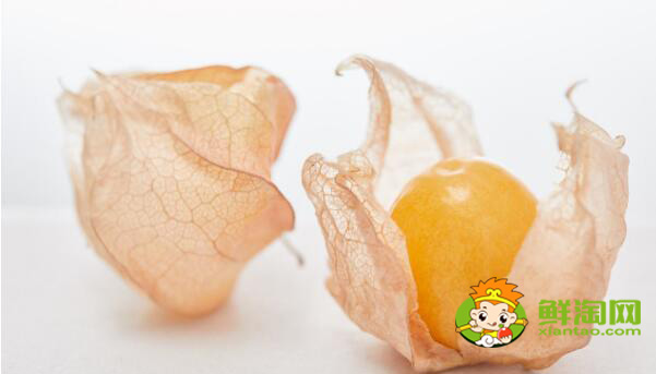 姑娘果幾月熟，姑娘果怎樣熟得快