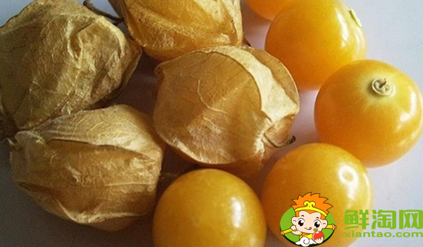 姑娘果一年結(jié)幾次果，姑娘果從開花到結(jié)果多久成熟
