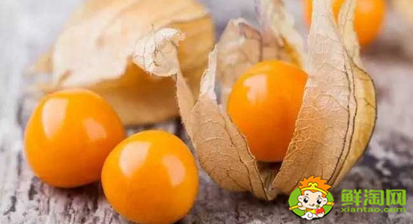 姑娘果是什么樣的，紅姑娘果與黃姑娘果的區別
