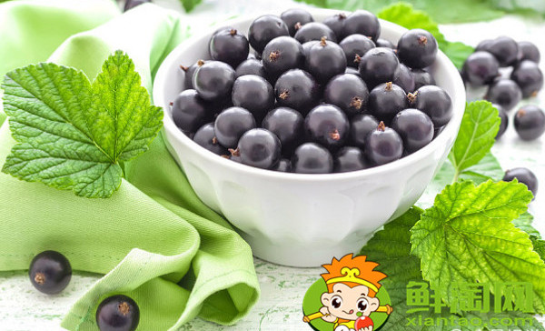醋栗幾年結(jié)果,黑加侖和黑醋栗的區(qū)別