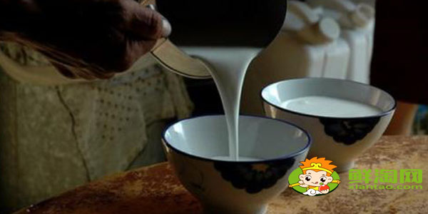 國家品牌駱駝奶哪個最好，國產最好駱駝奶粉品牌