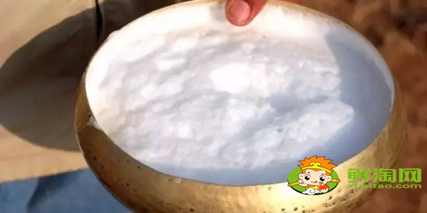 國家品牌駱駝奶哪個最好，國產最好駱駝奶粉品牌