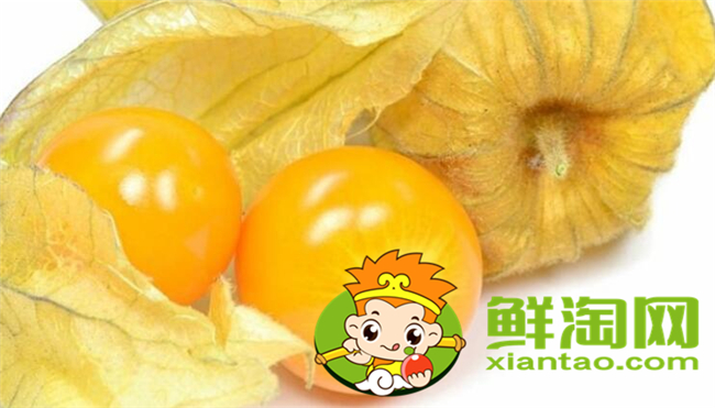 姑娘果和東北姑娘是一個(gè)嗎，東北姑娘果能放多長(zhǎng)時(shí)間