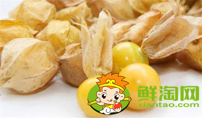 紅姑娘和洋姑娘一樣嗎，紅姑娘泡水一次幾個