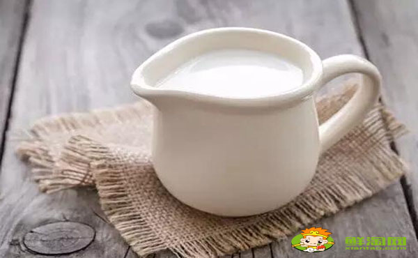 駱駝奶性溫還是性寒，血糖低可以喝駱駝奶嗎