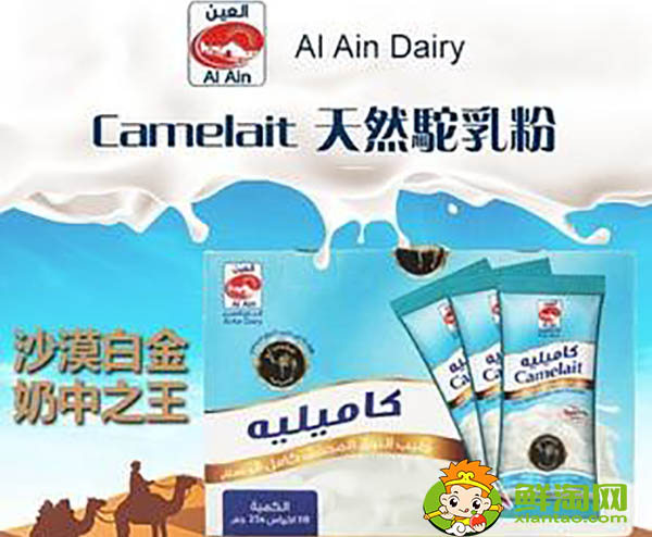 迪拜駱駝奶好喝嗎,哪里能買(mǎi)到好的駱駝奶
