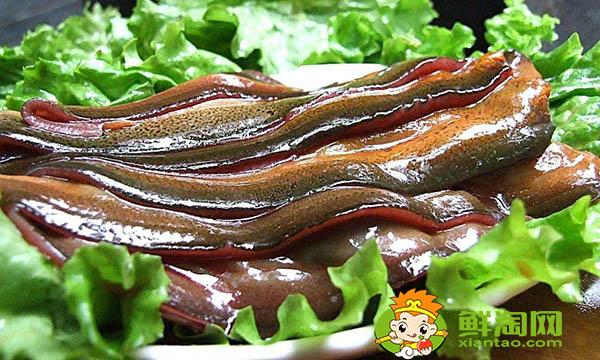女人吃黃鱔有什么好處，黃鱔的功效與作用