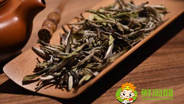 白牡丹散茶好還是茶餅好，白牡丹壽眉茶餅茶那個好