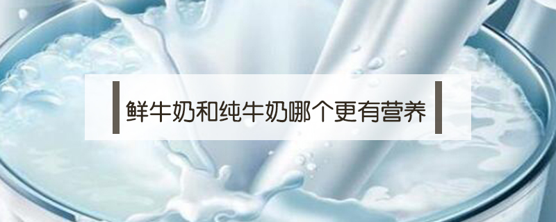 鮮牛奶和純牛奶哪個(gè)更有營養(yǎng)
