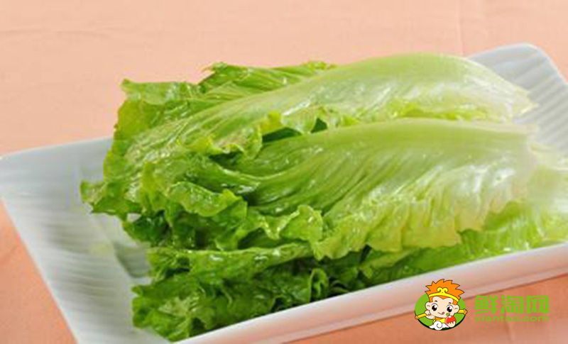 生菜的樣子，結(jié)球生菜和生菜的區(qū)別