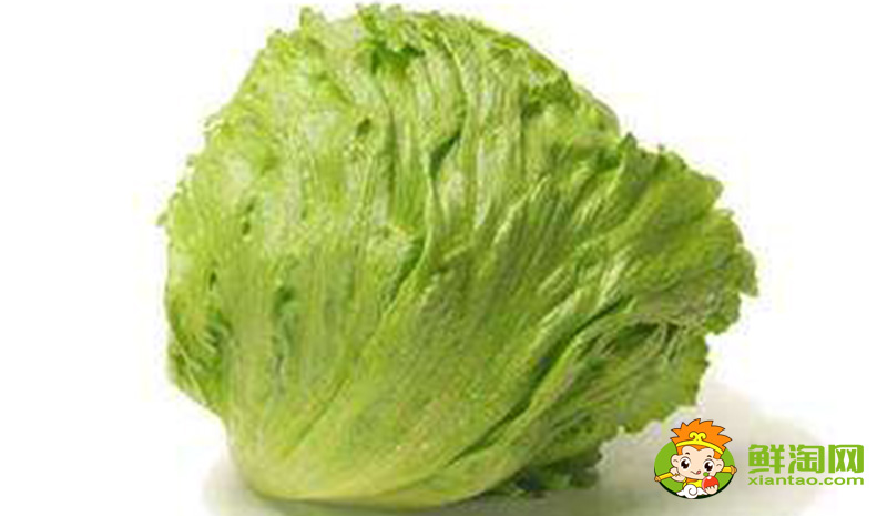 生菜的樣子，結(jié)球生菜和生菜的區(qū)別