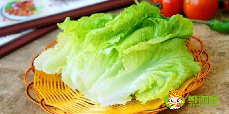 生菜的樣子，結(jié)球生菜和生菜的區(qū)別