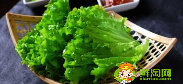 生菜可以烤嗎，團生菜的功效與作用