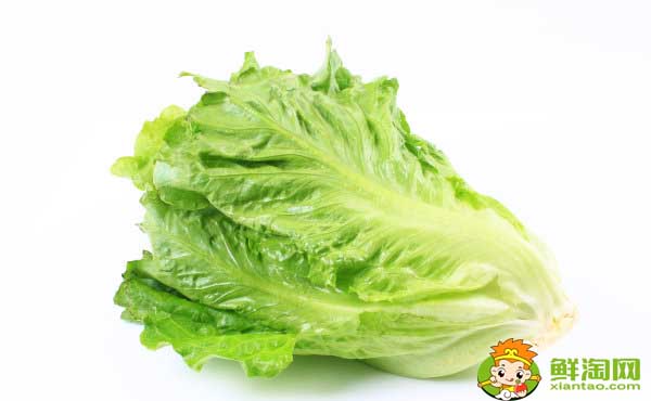 生菜的吃法有幾種，生菜為什么不長蟲