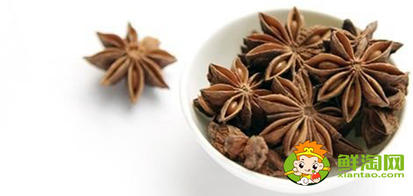 八角種子催芽方法，八角種子能有什么用途