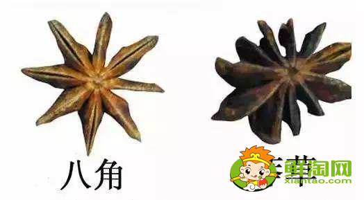 大料的真假如何區分，大料的價格與等級區分
