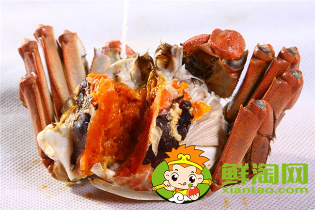 黃河口大閘蟹最佳季節(jié)，黃河口大閘蟹和陽澄湖大閘蟹的區(qū)別