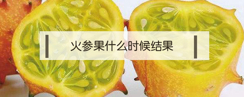 火參果什么時候結果