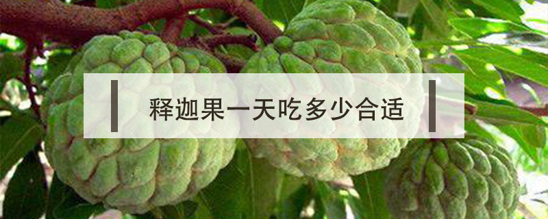 釋迦果一天吃多少合適