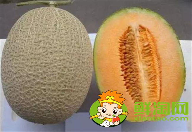哈密瓜里面的囊能吃嗎，哈密瓜里面的籽能種嗎