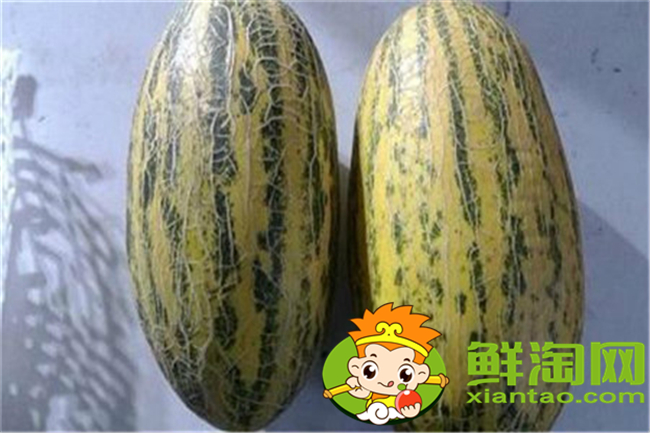哈密瓜是什么和什么的雜交品種，什么品種的哈密瓜最好吃最甜