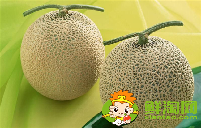 哈密瓜是什么和什么的雜交品種，什么品種的哈密瓜最好吃最甜
