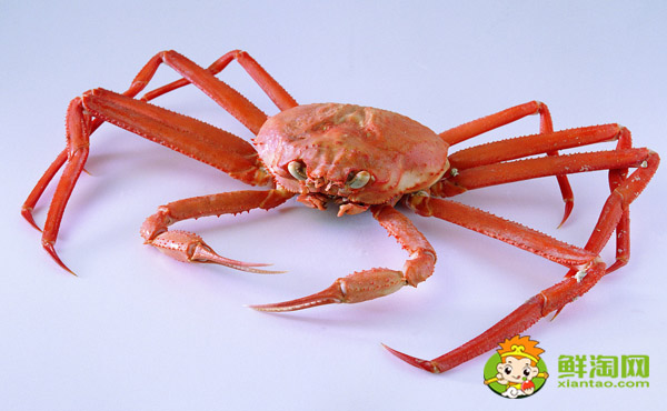 海蟹的黃為什么是苦的，蟹黃發(fā)苦是什么原因