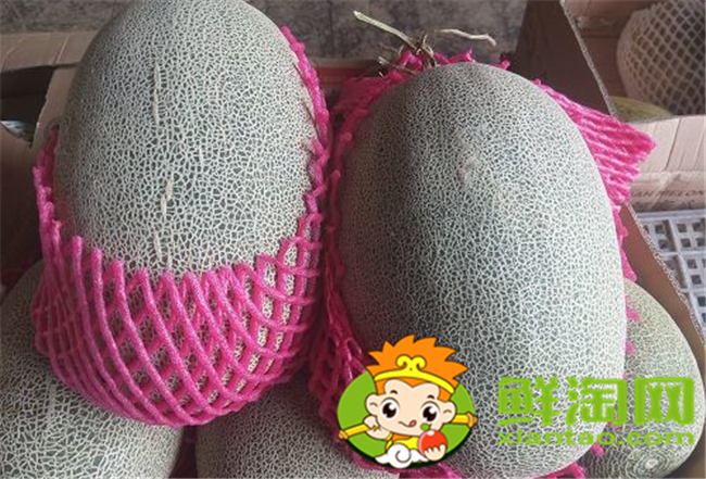西州蜜瓜怎么挑選，西州蜜25和17區別